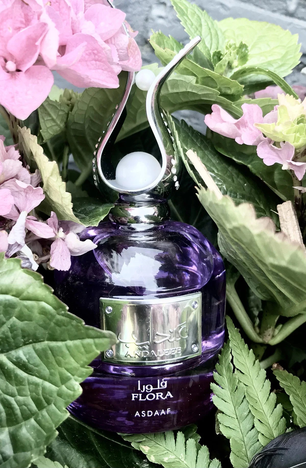 Andaleeb 100ml - Asdaaf Eau de Parfum Damen